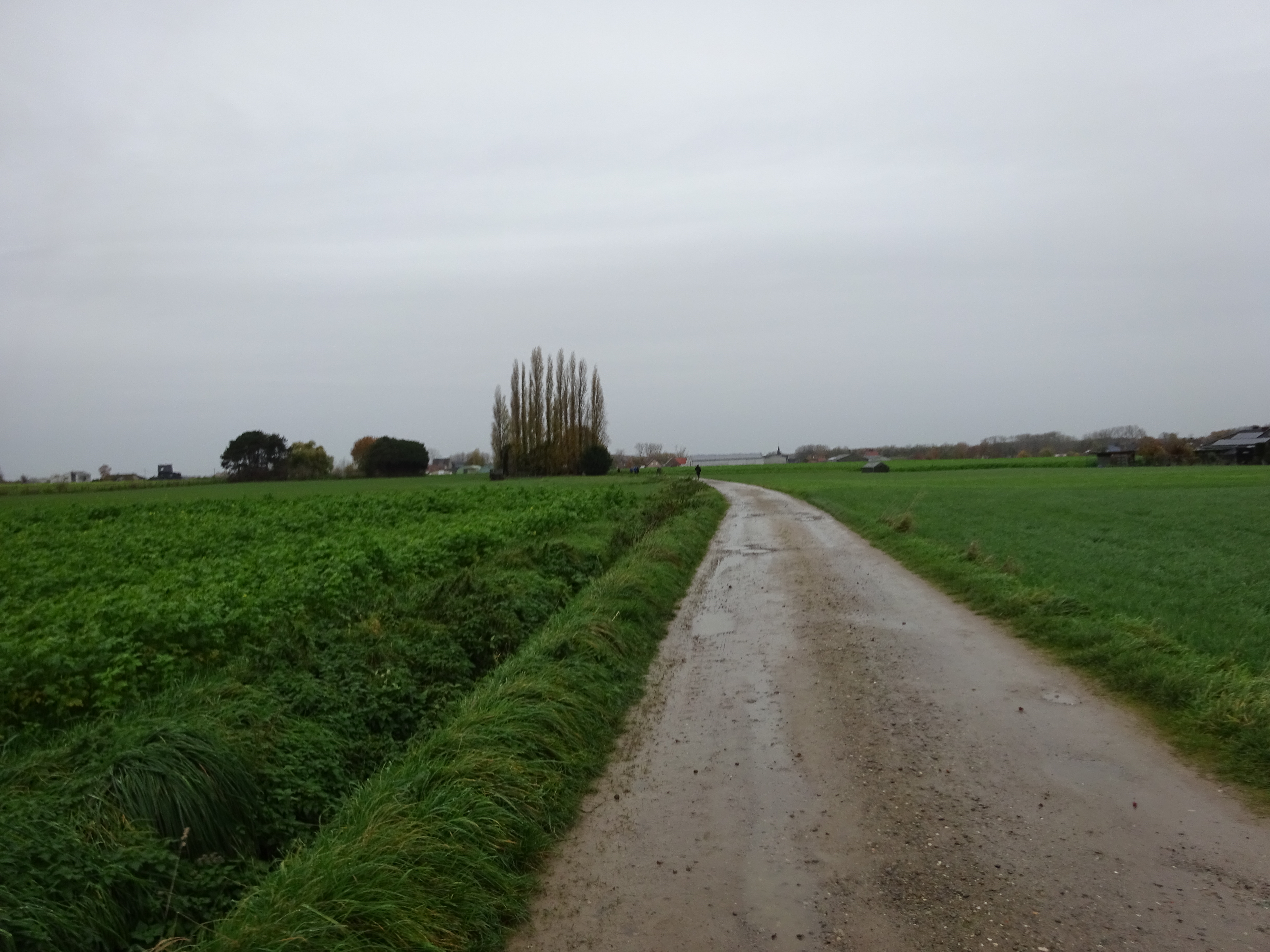 DSC01070