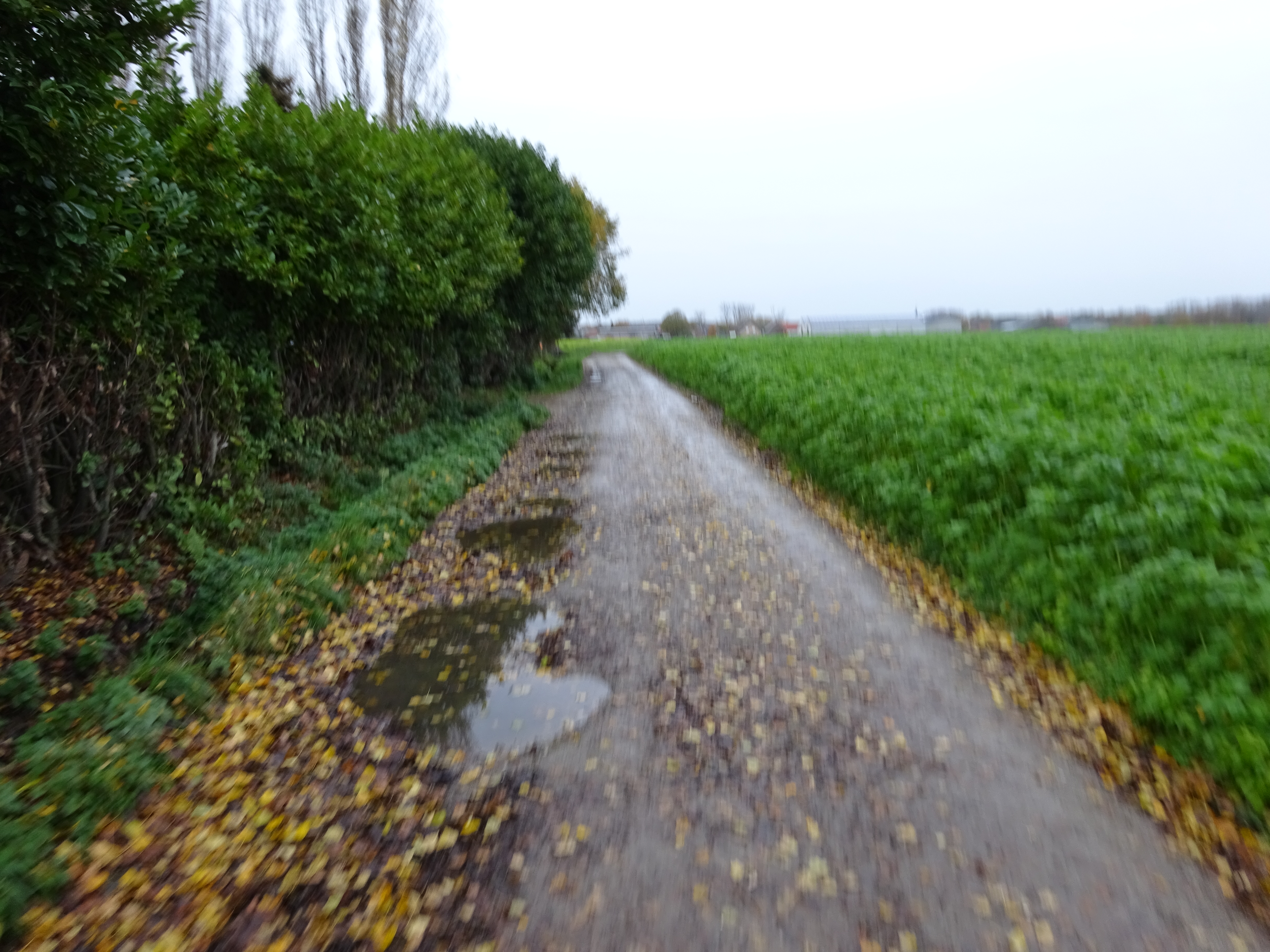 DSC01072