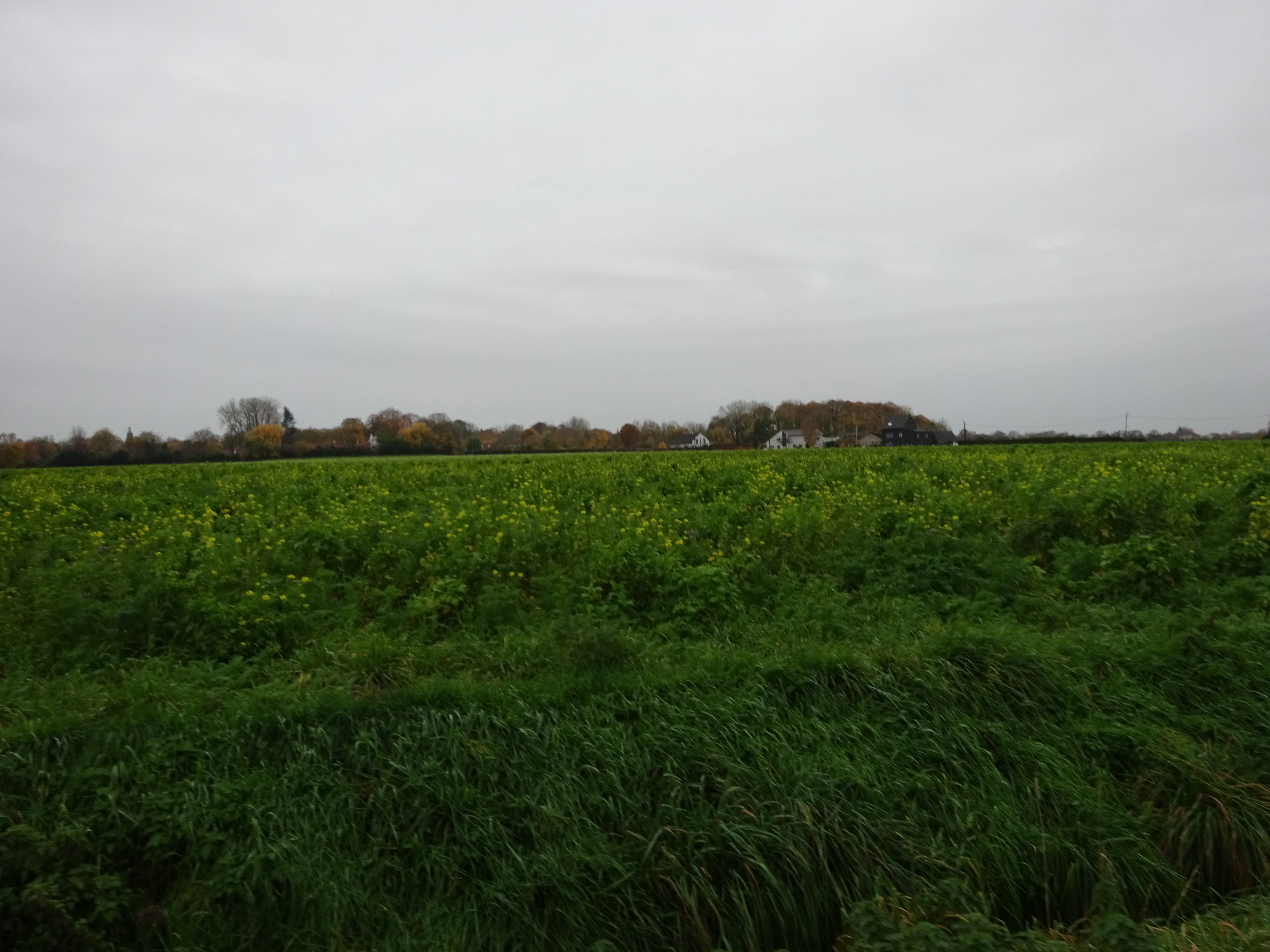 DSC01075