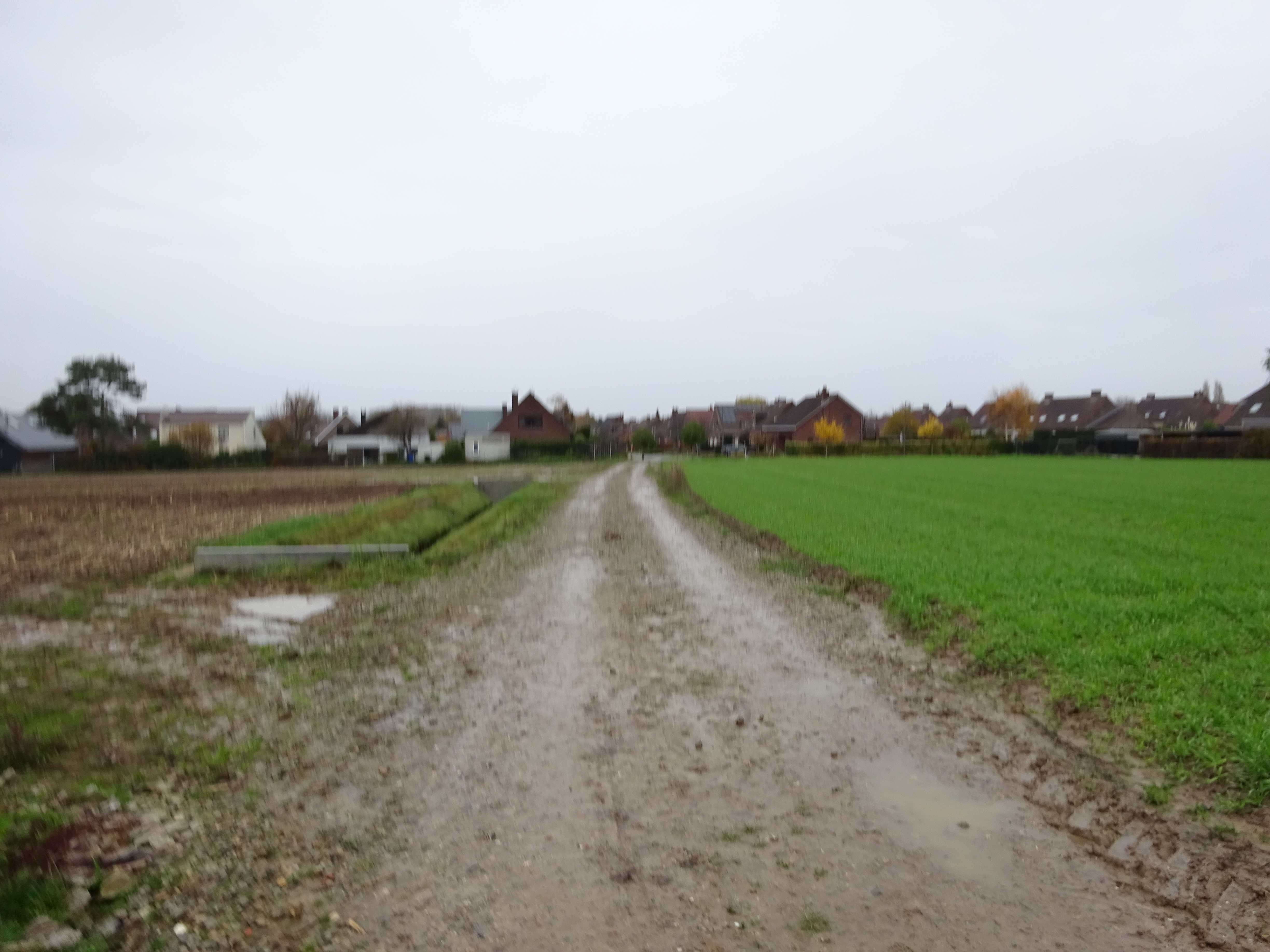 DSC01082