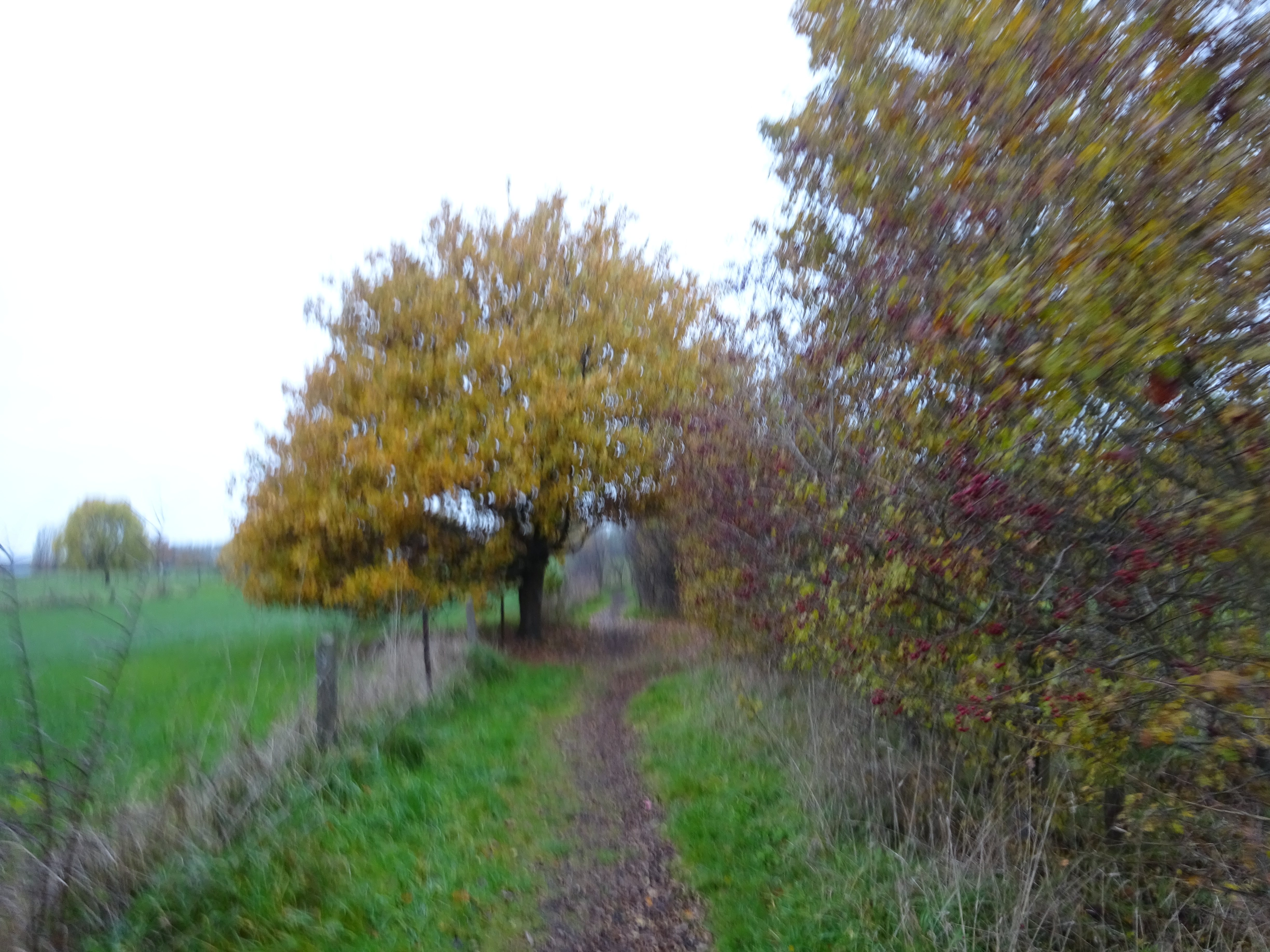DSC01108