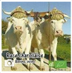 Charolles infos