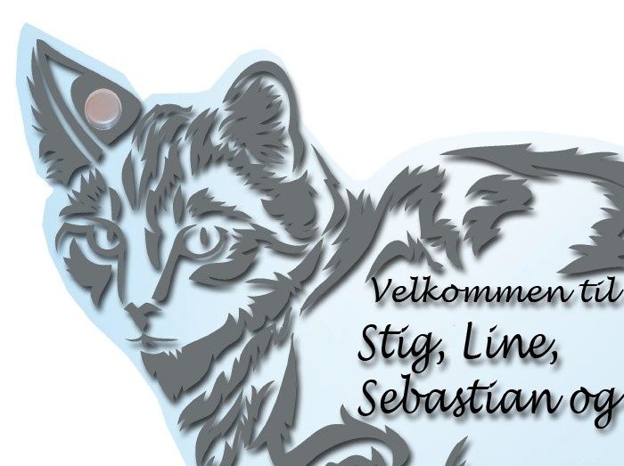 
37     Dørskilt laget i plexiglass.  - Elegante skruer i aluminium. Str. 235x150x5 mm  kr. 420,-
  


















