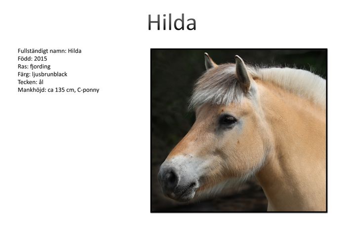 Hilda