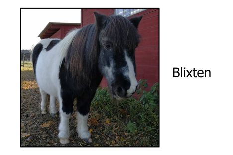 Blixten