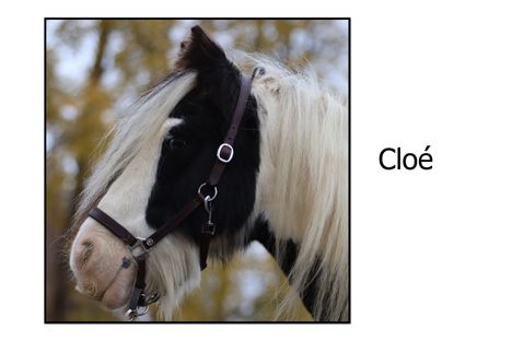 Cloé
