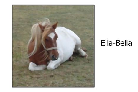 Ella-Bella