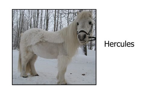 Hercules