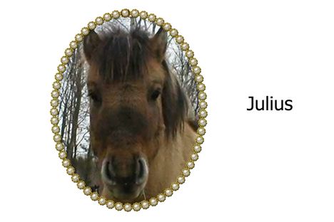 Julius