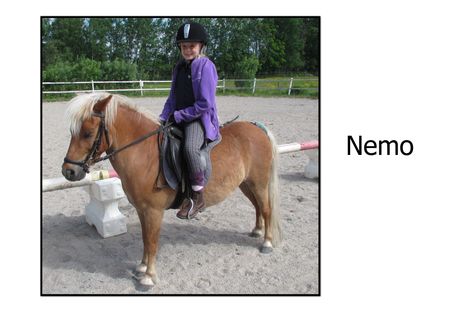 Nemo