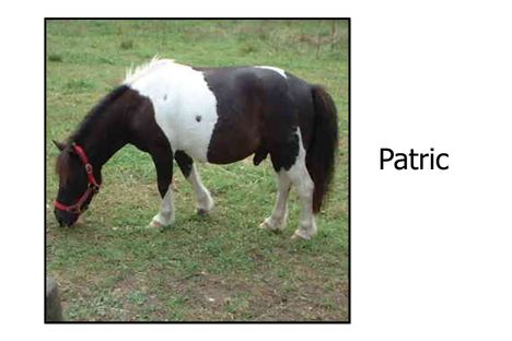 Patric
