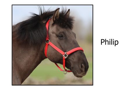 Philip