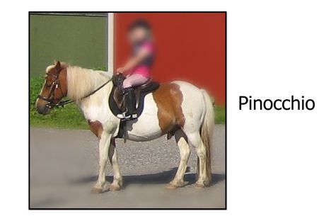 Pinocchio