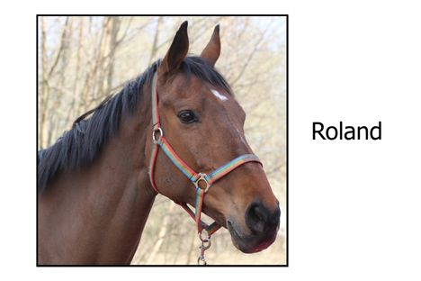 Roland