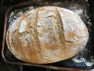 White Bread/Chleb Pszenny