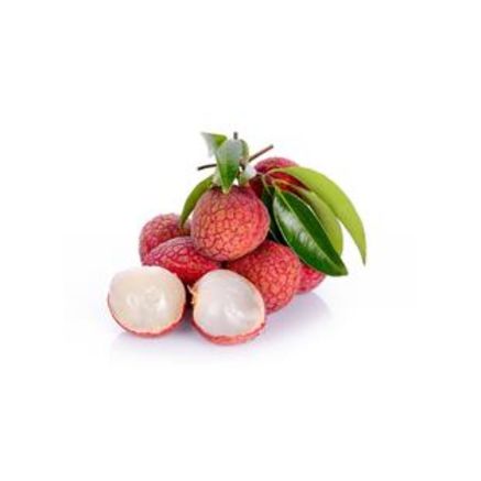Lychee 24x567g