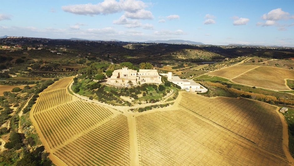 looking-around-feudi del pisciotto-5-8f6b30f5-7d33-4183-9490-7700718e8 looking-around-feudi del pisciotto-5-8f6b30f5-7d33-4183-9490-7700718e8