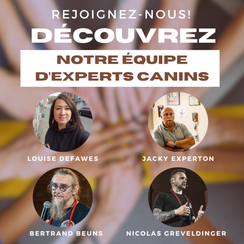 équipe - Centre de Formation Cynotechnique