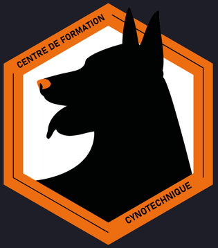 Logo CFCB