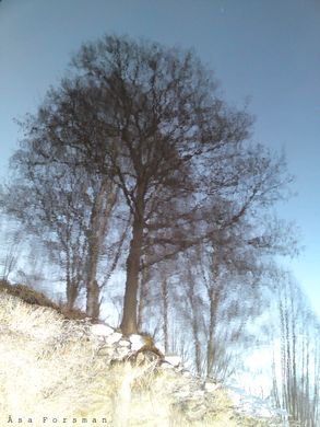 Overkligheten 1