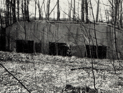 Dyrehavestillingen. Utildækket beredskabskasemat i Dyrehaven vest for Præstesletten, fotograferet i foråret 1962. A. N. Hvidt.