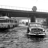 50'erne København
