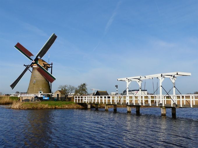 Wouter