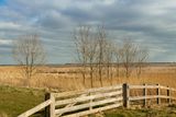 Roegwold