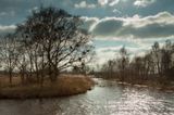 Roegwold