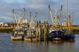DSC_5656 Lauwersoog