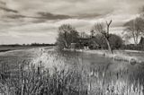 Roegwold