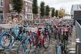 Heel veel fietsen in Groningen