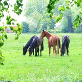 IMG_20240510_172121_378