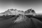 Stokksnes IJsland 2025 Large