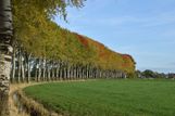 Wierumerschouwsterweg