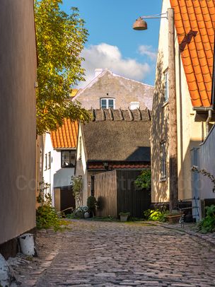 Dragør IV