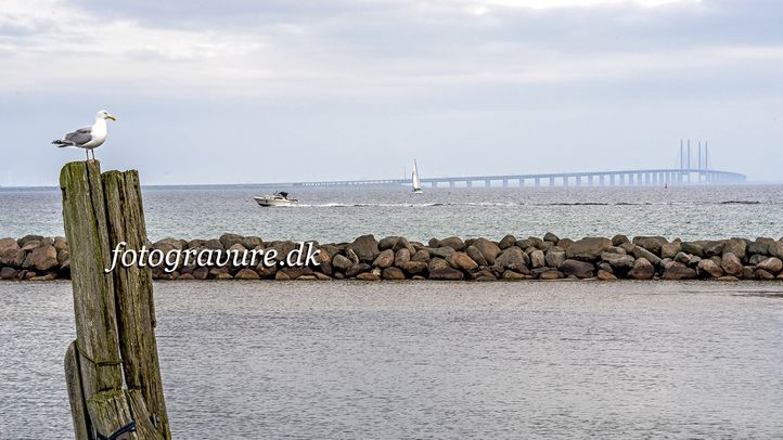 Dragør VI