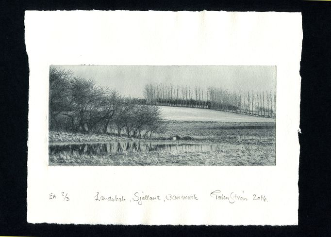 Landskab-Sjaelland-Danmark