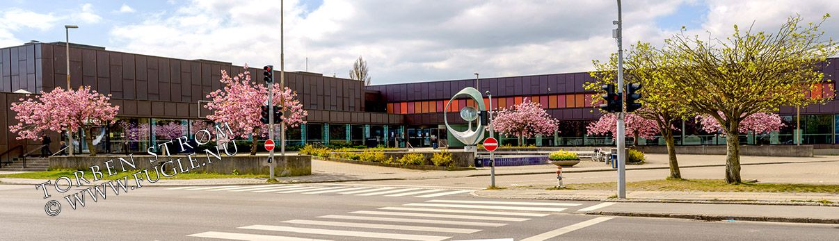 Hovedbibliotek_Hvidovre