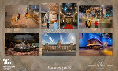 Naturhistoriska_Stockholm_AndersES