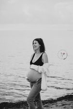 Gravid