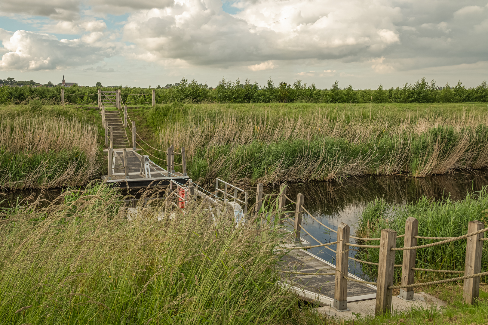 008-carine_vd_steene