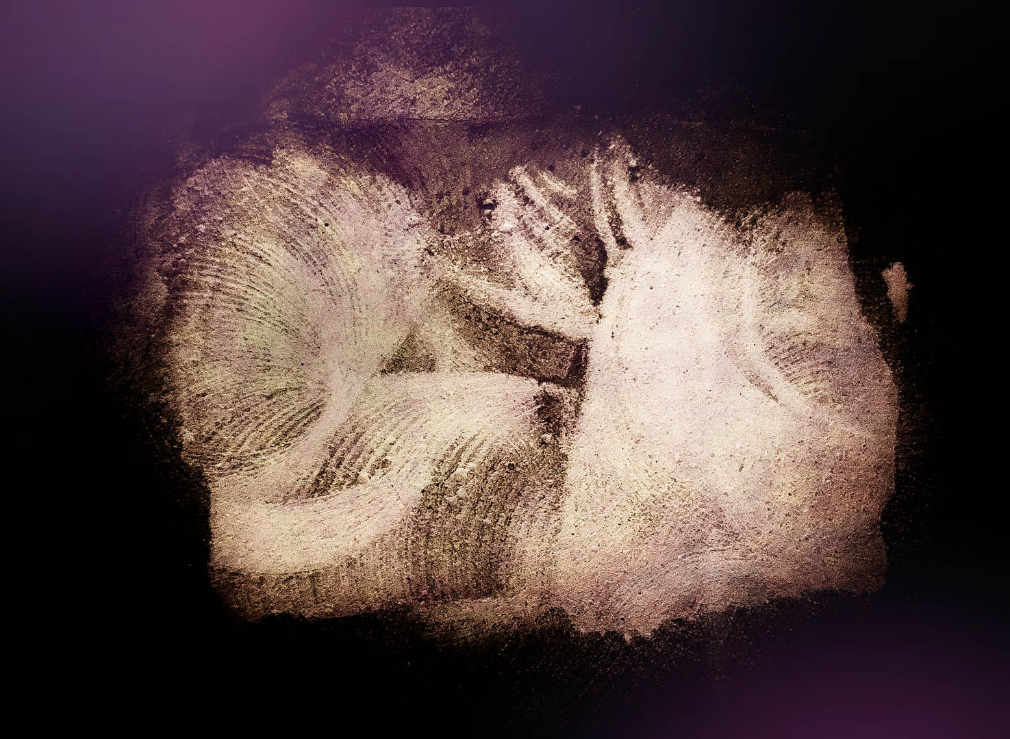 The Charm of Amor