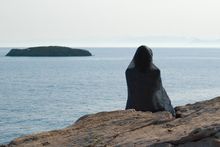 Κατερίνα Κασωτάκη
