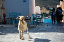 Πετρούλα Μηλαίου