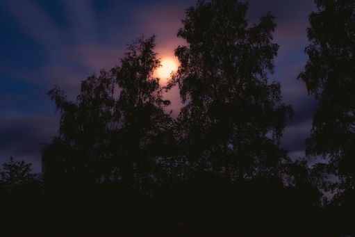 Våxtorp