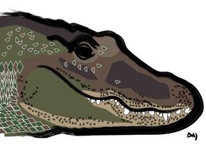 Aligator