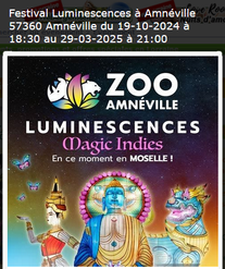 ZOO Luminescences
