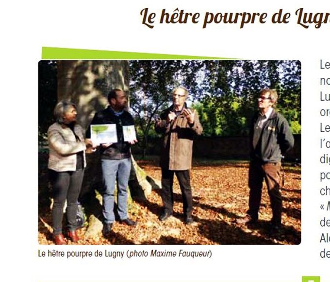 Association A.R.B.R.E.S - Bulletin laFeuille d'arbres numéro 93 (décembre 2018)