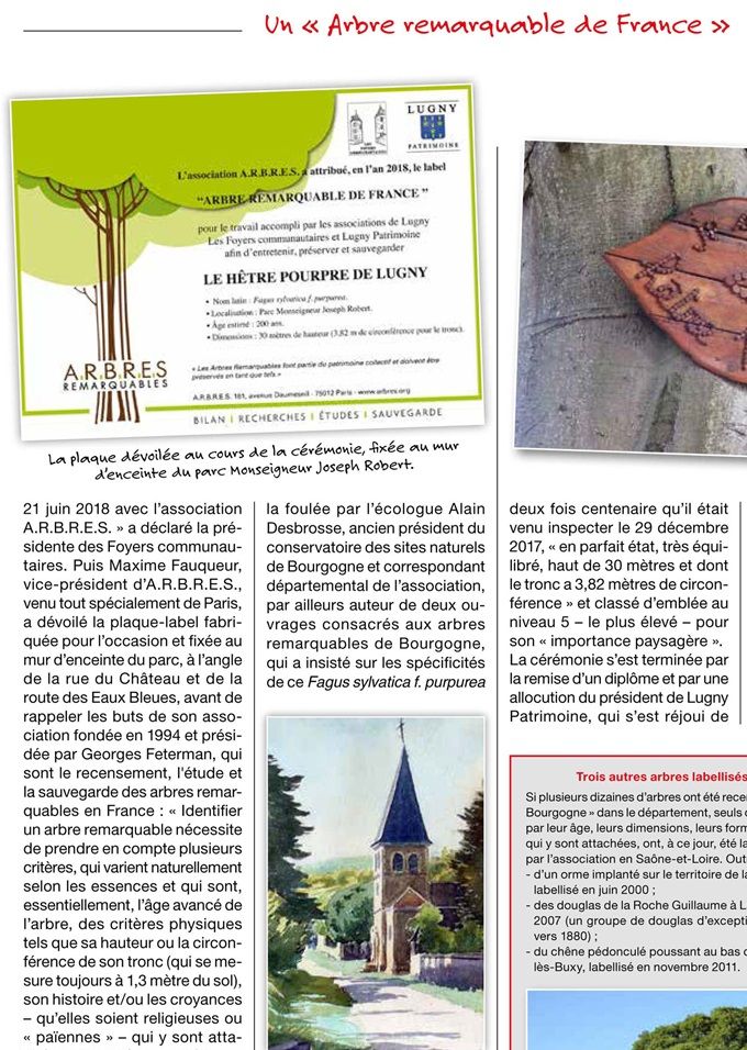 Article paru dans la revue trimestrielle 